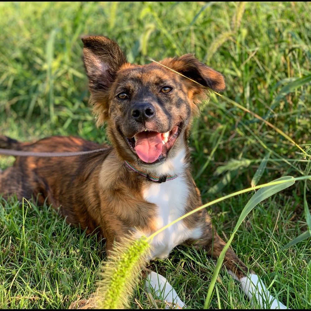 Meet your Posher, Laura